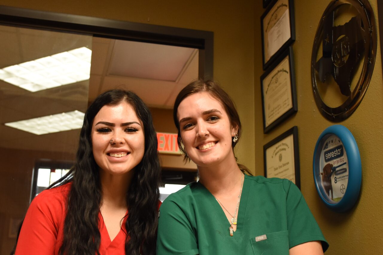 Corpus Christi, TX Vet Jobs Southside Animal Hospital